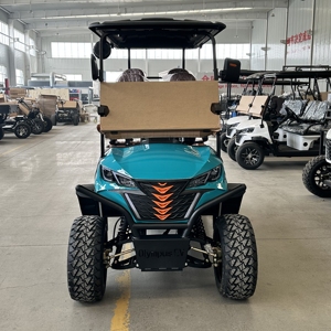 Carrito de Golf Urbano HKBG de 7-8 Plazas con Velocidad de 30-50 km/h y Autonomía de 50-70 km, Incluye Carrito de Golf Estándar, Precios del Producto - Product Image 5