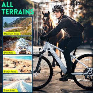 Bicicletta Elettrica <span class=keywords><strong>da</strong></span> Città OEM M612 Classica <span class=keywords><strong>da</strong></span> 26 Pollici per <span class=keywords><strong>Uomo</strong></span>, 36V con Sensore, 7 Velocità, <span class=keywords><strong>Bici</strong></span> Elettrica <span class=keywords><strong>da</strong></span> Strada - Product Image 5