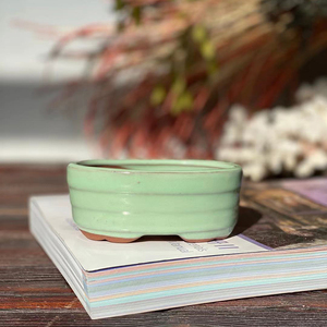 Mini pot de plantes succulentes pour décoration de jardin, vente en gros, avec trou de Drainage - Product Image 5