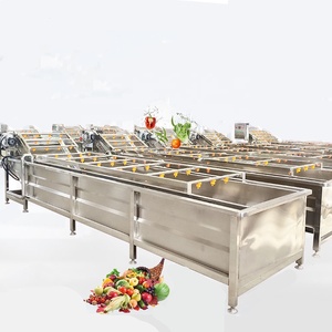 Continuous Water Spray Vegetable Washing Machine Bubble Fruit Vegetable Cleaning Machine