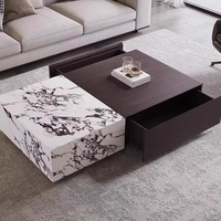 Table basse moderne en dalle de marbre, design minimaliste, structure en bois massif, espace de rangement, idéale pour les petits salons
