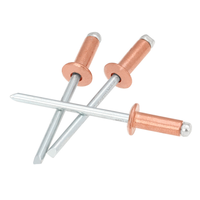 Bouchon en cuivre, fer, métal, acier, noyau en aluminium, mandrin de traction, tête ronde, extrémité ouverte, Rivets Pop store DIN7337