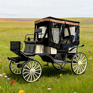 Carroza Real Eléctrica 2026 de Gran Venta para Bodas y Turismo, Carroza de Caballos Victoria para Bodas, Transporte Especial para Recorridos en Parques - Product Image 1
