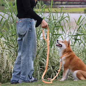 Goma de silicona de PVC impermeable macarrones coloridos clips dobles de plomo manos libres collar de perro y correa para perros pequeños - Product Image 5