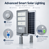 Lampe solaire extérieure pour rue, IP65 étanche, 3000K-6500K, montage mural, capteur de mouvement PIR, télécommande, garantie de 2 ans pour l'éclairage
