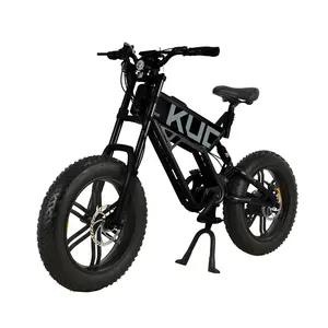 (EU 주식 및 드롭 배송) KUGOO T01 20 인치 전기 자전거, 750W 모터, 48V/13AH 리튬 배터리 (무료 배송)