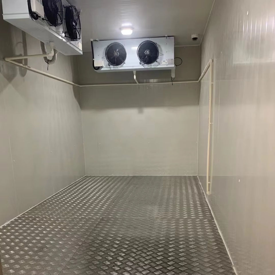 Walk In Freezer Cooler Equipment Rvt Customized Walk in Freezer/cooler Cold Room Storage Refrigerator ...