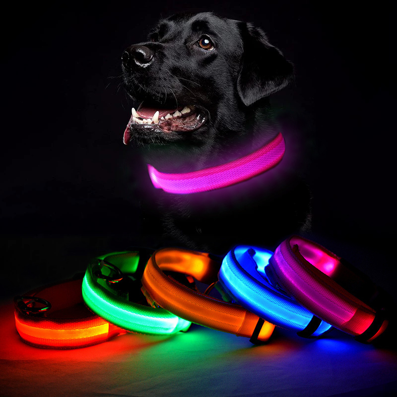 Adjustable Simple Polyester LED Dog Collar