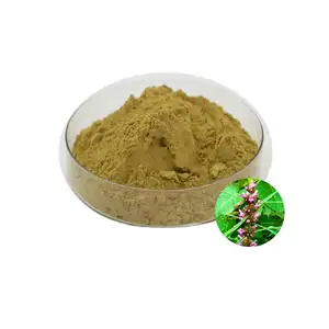 High Quality Bulk Motherwort Herb Extract 10:1 Powder Motherwort Powder Motherwort Extract Leonurus Artemisia