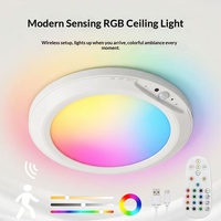 Plafonnier LED RGB rechargeable avec télécommande infrarouge et détecteur de mouvement, design moderne, montage en surface, pour maison, armoire, balcon