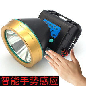 Roman Highlights T6 <b>Sensor</b> Headlamp 2000mAh <b>LED</b> Rechargeable Adjustable Outdoor Fishing <b>Light</b> - Product Image 1