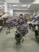 Nouvelle orchidée papillon Phalaenopsis imprimée numériquement en 3D de 22 pouces dans un pot en pulpe de papier pour la décoration d'hôtels, de magasins, de bureaux, de bibliothèques et de maisons