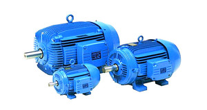 Motor de Inducción Trifásico Antiexplosión de Alta Eficiencia WEG W21 4P 15KW-380V-50Hz, Motor de Jaula de Ardilla de Baja Tensión CA W21 - Product Image 3