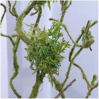 Plante Artificielle Grande et Réaliste, Décoration de Vigne, Écologique, Fournitures de Jardin pour la Remise des Diplômes et le Nouvel An, Fournisseurs en Gros