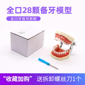 Modèle anatomique d'éducation bucco-dentaire, modèle de gencive souple détachable pour la pratique de la préparation dentaire, modèle dentaire - Product Image 4