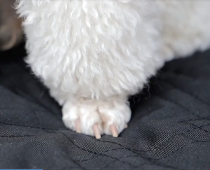 Нескользящий универсальный чехол большого размера для тяжелых внедорожников, домашних животных, грузовой Чехол с Полноразмерным защитным клапаном бампера - Product Image 6