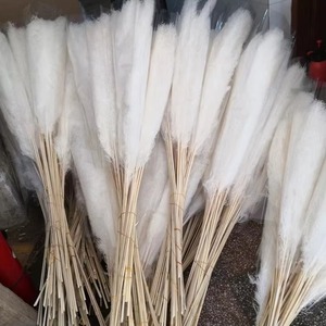 <span class=keywords><strong>120</strong></span> <span class=keywords><strong>CM</strong></span> Secado Esponjoso Botánico <span class=keywords><strong>Pampas</strong></span> Hierba Fflfy Grande Popular Natural Boda Capim Plumas Artificiales De <span class=keywords><strong>Pampas</strong></span> - Product Image 1