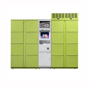 Customized Delivery Smart Electronic Custom Metal Frozen System Storage Cabinet Locker