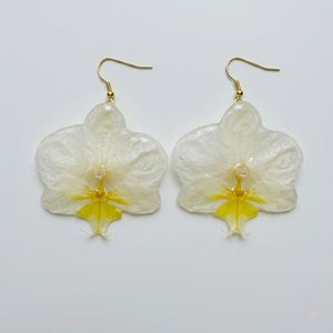 <span class=keywords><strong>Orecchini</strong></span> da Donna Ispirati al Lusso, Design Bohémien <span class=keywords><strong>in</strong></span> Acciaio Inossidabile Dorato con Fiori Veri Conservati Multicolore, Modello Orchidea - Product Image 5