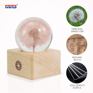 Cadeau de noël pissenlit 3D boule de cristal veilleuse batterie Base <span class=keywords><strong>en</strong></span> <span class=keywords><strong>bois</strong></span> Led lampe d'ambiance pour fleur résine <span class=keywords><strong>globe</strong></span> veilleuse - Product Image 1