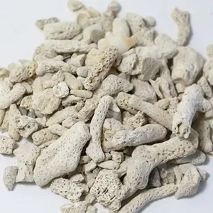 พิพิธภัณฑ์สัตว์น้ําจัดสวนหินปะการังทรายปะการัง - Product Image 4