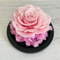 2022 Ins Hot Valentine Groothandel Luxe Gift Bewaard Een Rose Heart Glass Dome Voor Gift