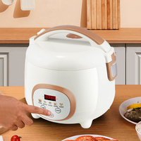 Cuiseur à riz électrique intelligent multifonction 1,5 L à faible teneur en sucre avec minuterie numérique et fonctions prédéfinies pour la cuisson à la vapeur du riz, des œufs et des soupes