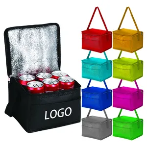 Promotional Custom Nonwoven Small Insulated Cooler Bag Wine Cooler Bag With Zipper For Picnic