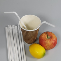 Pailles jetables 100 % biodégradables en PLA, écologiques, emballées individuellement, 6 mm et 8 mm, pour bars, fêtes et camping