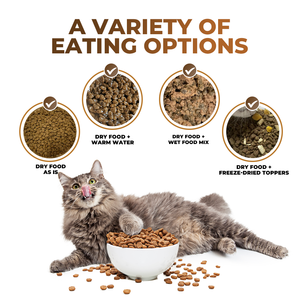 OEM ODM all'ingrosso olistico cibo per cani per adulti e cuccioli materiale naturale di buona qualità cibo secco per cani cibo per gatti - Product Image 5