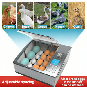 Incubadora Comercial de Pequeña Escala Adecuada para Pollos, Patos, Gansos y Codornices, Versátil para Múltiples Especies - Product Image 6