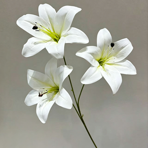 ดอกไม้<span class=keywords><strong>ป</strong></span>ระดิษฐ์สีขาวเนื้อสัมผัสเหมือนจริง พิมพ์ 3 มิติ ทำจากผ้าไหม ช่วยเพิ่มความชุ่มชื้น  จัดดอกไม้แบบกำหนดขนาดได้ ตกแต่งงานแต่งงานและบ้าน - Product Image 6