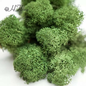 Hflora Hot Bán tường geeks lỗi thời với khung gỗ Tuần Lộc bảo quản rêu tinh khiết tự nhiên rêu cho Phục sinh chủ nhật - Product Image 3