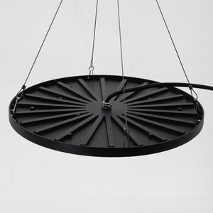 หลอดไฟปลูกพืชแบบยูเอฟโอ อลูมิเนียมพรีเมียม 650W/800W สเปกตรัมเต็มรูปแบบ สำหรับปลูกพืชในร่ม ระยะเร่งดอก ดีไซน์กันน้ำ IP65 - Product Image 2