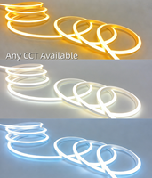 Lampu Strip Neon Fleksibel DC24V Lumen Tinggi IP67 13.5W/M Tahan Air Silikon untuk Dekorasi Taman/Lanskap