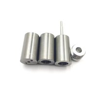 Assemblage de plongeur d'armature de Tube d'électrovanne de haute qualité vanne proportionnelle noyau de fer mobile noyau de fer statique