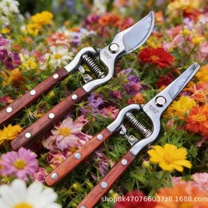 Ash Wood Handle Pruning <b>Shears</b> Stainless Steel Blade 20-30 Mm Trimming Diameter For Fruit Trees And Garden Use - Product Image 3