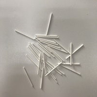 Mèche d'électrode de référence en céramique poreuse, noyau en sable céramique à porosité personnalisée pour les tests de pH et les pièces d'instruments d'analyse médicale