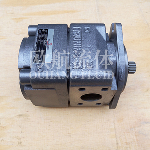 ปั๊มเกียร์ภายใน TRUNINGER BUCHER / ปั๊มเกียร์ไฮดรอลิก QX42-025 R - Product Image 1