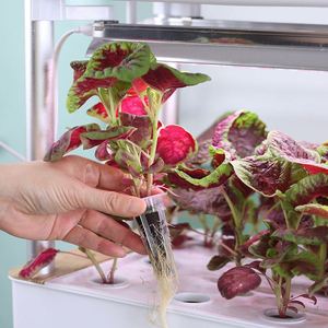 120 Holes Irrigation Hydroponics Equipment Smart Indoor Garden Hydroponic Growing System for Leaf Vegetables Planting - Product Image 5