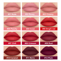 Rouge à lèvres liquide mat nude à faible MOQ, 12 couleurs, rouge intense, longue tenue, résistant aux baisers, marque privée