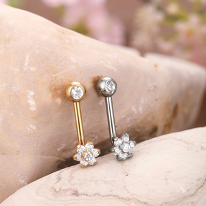 Lingchee G23 Titane PVD <span class=keywords><strong>Christina</strong></span> Vertical Capuche Piercings Interne Fileté Lèvre Anneaux CZ Cristal Corps <span class=keywords><strong>Piercing</strong></span> <span class=keywords><strong>Bijoux</strong></span> - Product Image 2