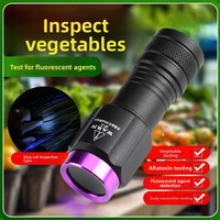 Lampe torche UV LED violette, détecteur de billets, stylo 365nm, camping, batterie rechargeable, multifonctionnelle, portable, en alliage d'aluminium, optique