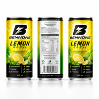 Private Label Kohlensäurehaltige Low-Carb Sportgetränke Sprudelndes Energiegetränk Maßgeschneiderte Limetten-Zitronen-Mojito-Geschmacksformel 330ml