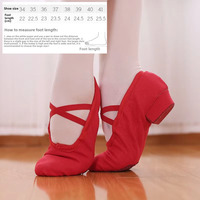 Chaussures de danse en toile pour femmes, semelle souple 2,5 cm, idéales pour le ballet, le yoga et la danse orientale (vente en gros)
