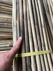 Estacas de Bambú Natural Sostenibles para Jardín, Cañas de Soporte para Plantas Agrícolas, para Tomateras, Viveros, Agricultura, Venta al por Mayor - Product Image 3