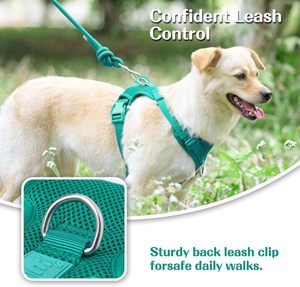 Harnais pour chien en néoprène réglable, ensemble harnais et laisse pour chien, harnais pour chien personnalisé - Product Image 3