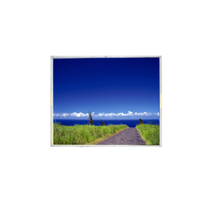 7.0 inch LT070W02-TMB2 TFT LCD màn hình 480*234 Độ phân giải - Product Image 1