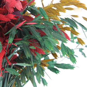 Ramos Decorativos Naturales de Flores Secas, Ramos de Hierba Floral, <span class=keywords><strong>Mar</strong></span> del Norte, Avena Conservada, Chasmanthium Latifolium, Flores Conservadas - Product Image 6
