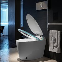 WC intelligent monobloc en céramique en forme d'œuf pour salle de bain à usage domestique, avec chasse d'eau automatique et bidet intégré